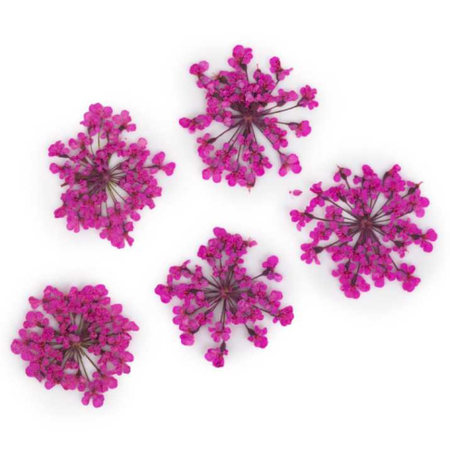 Ozdoba Do Paznokci Suszone Kwiatki - Różowe 