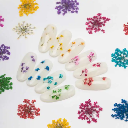 Ozdoba Do Paznokci Suszone Kwiatki - Czerwone