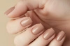 Victoria Vynn Gel Polish Color 449 Barista Lakier Hybrydowy 8 ml
